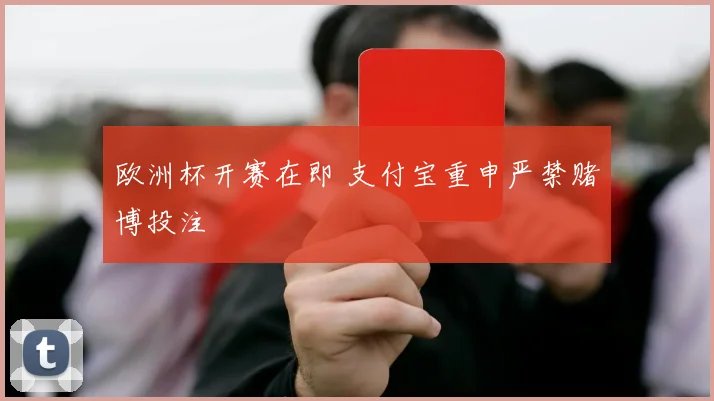 欧洲杯开赛在即 支付宝重申严禁赌博投注