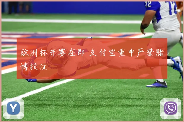 欧洲杯开赛在即 支付宝重申严禁赌博投注